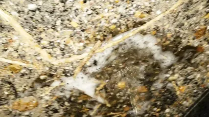 /beam/67a8623ecc498f247e85a654