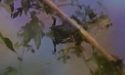 /beam/67a8601ecc498f247e677790