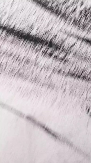 colombian porno a big thick penis full of milk