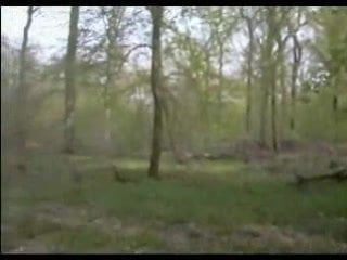 /beam/67a85dcacc498f247e403bb4