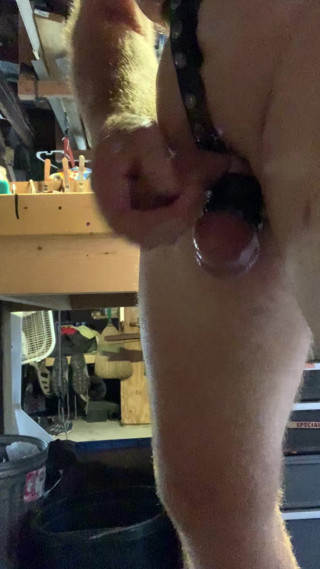 Butt plug harness