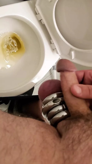 Toilet Adventures with Mark