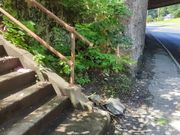 Caught peeing on a stairway