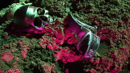 /beam/67a861dbcc498f247e80e1a0