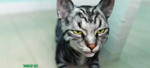 /beam/67a86315cc498f247e901731