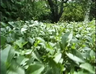 /beam/67a86222cc498f247e845f0c