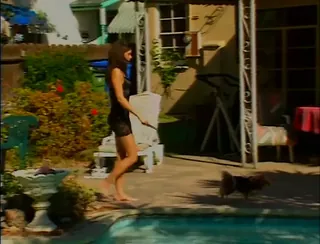 /beam/67a86207cc498f247e830200