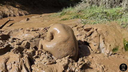 Trapped in Mud &amp; Loving It...
