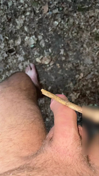 outdoor cock and ass caning