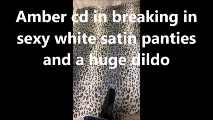 amber cd in sexy white panties .