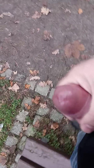 Cum in park