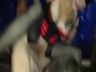 /beam/67a85e2bcc498f247e466b6f