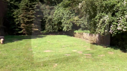 Sexy small tits blonde fucking in the garden