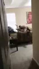 /beam/67a86041cc498f247e69a5d2