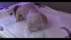 My Friend's Beautiful Wife Enjoys the Jacuzzi in the Motel Before Fucking Her, She Loves Cock