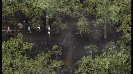 /beam/67a86360cc498f247e93e5a3