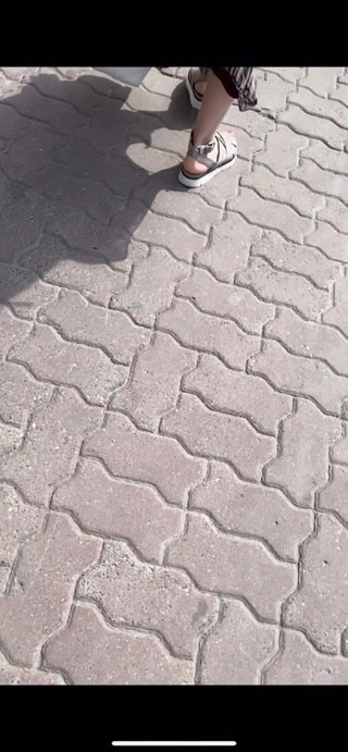 D33