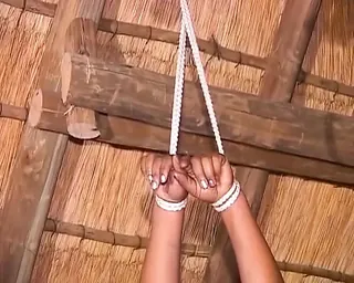 /beam/67a86379cc498f247e952eb6