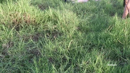 Andrea Dipre's balls kicked in the country