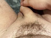 Cock From Soft to Hard Cum