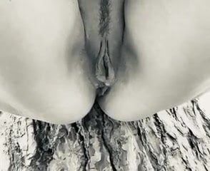 /beam/67a8605ecc498f247e6b7792