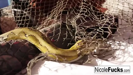 /beam/67a86351cc498f247e9327fa