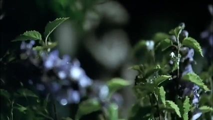 /beam/67a860a4cc498f247e6fb195