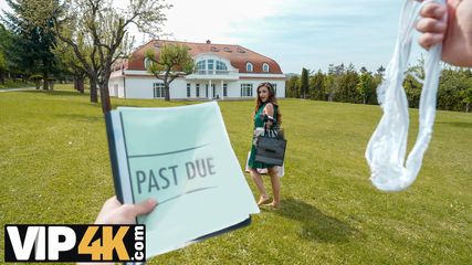 /beam/67a8638ccc498f247e962ea2