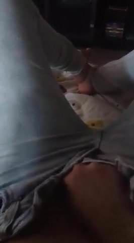 /beam/67a85f06cc498f247e54e6a8