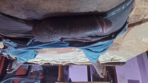 Daddy dick amatemasturbation hand job Big Daddy dick amateur masturbation hand job teen ass Big Daddy