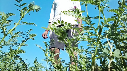 Satyam Big Cock Hot Sex Video