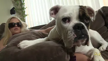 /beam/67a86275cc498f247e885e2a