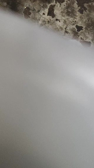 Stepmom and StepSon home alone