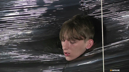 Pallet Wrapped