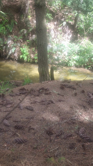 Seen nude at river