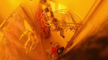 Stepson Catches Me in the Shower