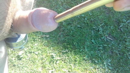 Fucking my cock with 11 mm sound in nature