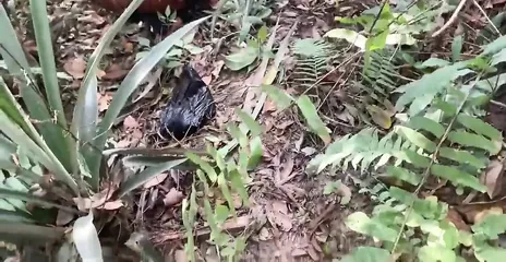 /beam/67a8626dcc498f247e87fddb