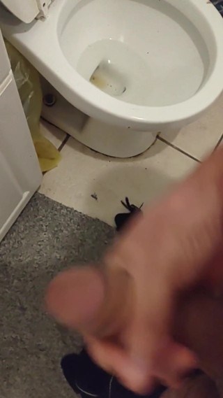 Cumming in the Bathroom
