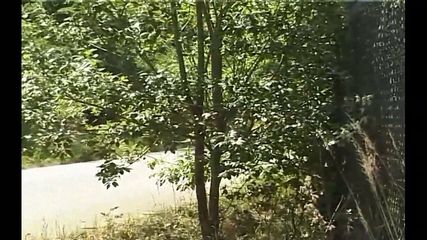 /beam/67a86186cc498f247e7cc8e7