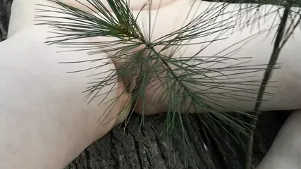 /beam/67a8619bcc498f247e7de2b5