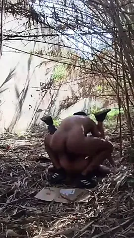 /beam/67a86174cc498f247e7bcbc3