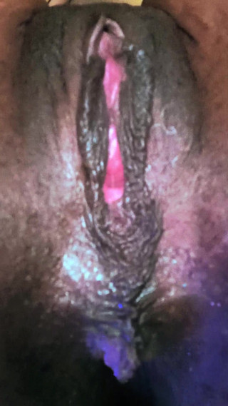 All My Pussy