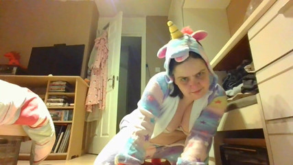 the unicorn