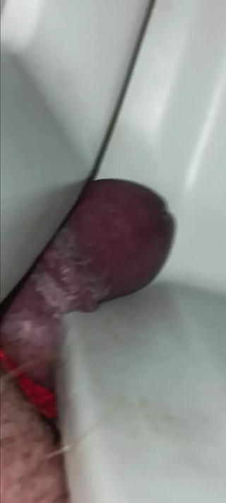 Bound small cock crushed in cooler
