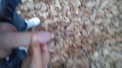 forest pee