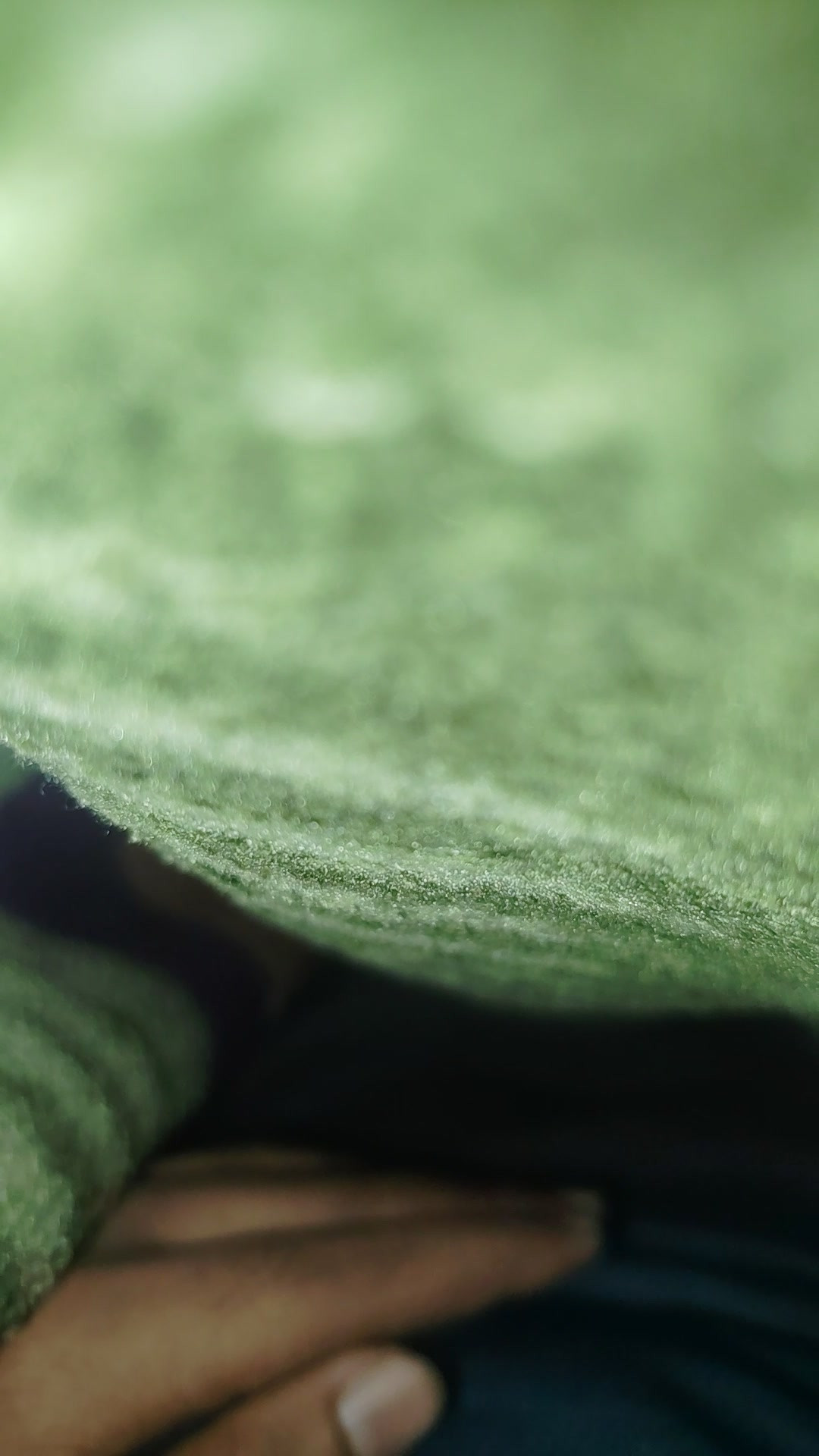 Handsome guy masturbating