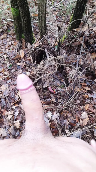 Timmyboy I went for a run in the woods and I got horny
