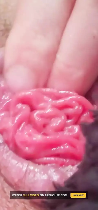 This Is What a Rosebud Looks Like
