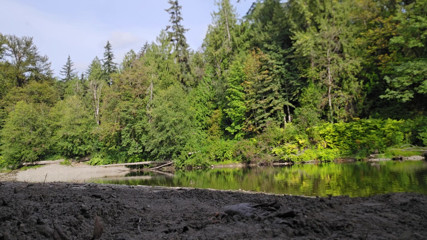 Back to the River - Nude at the Beach - Three